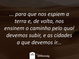 ... para que nos espiem a
terra e, de volta, nos
ensinem o caminho pelo qual
devemos subir, e as cidades
a que devemos ir...
 