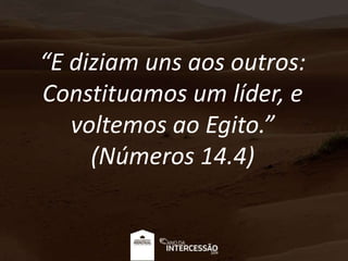 “E diziam uns aos outros:
Constituamos um líder, e
voltemos ao Egito.”
(Números 14.4)
 