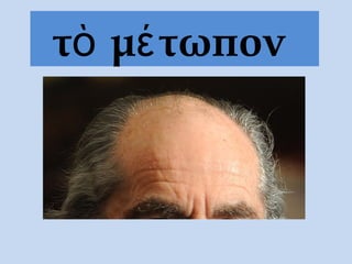 τὸ μέτωπον
 