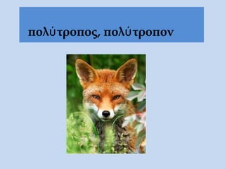 πολύτροπος, πολύτροπον
 