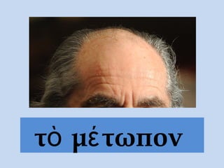 τὸ μέτωπον
 