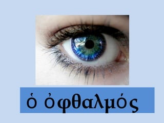 ὁ ὀφθαλμός
 