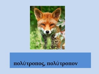 πολύτροπος, πολύτροπον
 