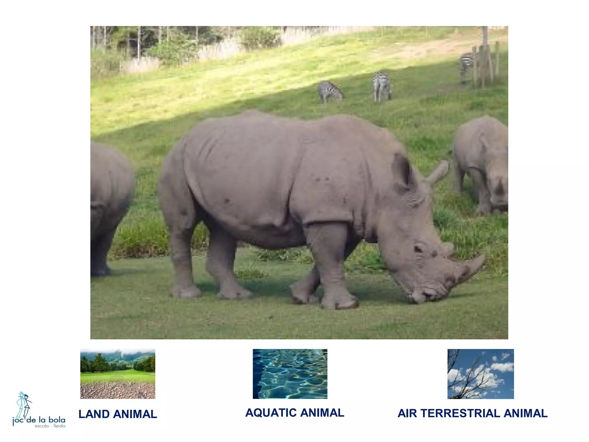 LAND ANIMAL

AQUATIC ANIMAL

AIR TERRESTRIAL ANIMAL

 