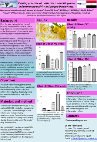 Evening primrose oil possesses a promising anti-
inflammatory activity in Sprague-Dawley rats.
Nourhan M. Abd el-maksoud1, Manar M. Rashad1, Gamal M. Badr1, Al-Siddeg K. Al-Siddeg 2, Mai F. Tolba2,*
1 Faculty of Pharmacy, Ain Shams University, 2 Department of Pharmacology and Toxicology, Faculty of
Pharmacy, Ain Shams University, Cairo, Egypt
Background
Over the past two centuries, natural
products have played a valuable role in
drug discovery contributing enormously
to the development of therapeutic agents
currently used in modern medicine.
Oenothera biennis ( Evening primrose) is a
plant native to North America, but it
grows in Europe and parts of the
Southern hemisphere as well. From its
seeds, the evening primrose oil (EPO) is
extracted which is high in the essential
fatty acid gamma-linolenic acid (GLA)
linoleic acid (LA) that are omega-6 fatty
acids.
EPO has various biological effects as it is
used as an antioxidant and in some
conditions affecting women’s health, such
as breast pain associated with the
menstrual cycle, menopausal symptoms,
and premenstrual syndrome (PMS);
cancer; and diabetes.
Objectives:
This study tested the hypothesis that
Evening Primrose oil possesses a potential
anti-inflammatory activity. This was
achieved investigating its activity using
carrageenan-induced rat paw edema
model.
Materials and method
Animals were pretreated with 250 or 500
mg/kg of EPO 30 min before carrageenan
s.c. injection. Then the change in paw
volume was evaluated using
pleythsmometer. The anti-inflammatory
activity was tested in comparison to the
standard nonsteroidal anti-inflammatory
drug indomethacin .
Nitric oxide (NO), catalase activity (CAT),
reduced glutathione (GSH) and Total
antioxidant capacity (TAC) were assessed
in the collected paw edema exudates
using kits purchased from Biodiagnostics
(Giza, Egypt).
Results: Results
EPO 250mg significantly increased the
levels of the powerful antioxidant
glutathione(mmol/L) in paw edema
exudates (figure 2).
EPO 250mg shows increased total
antioxidant capacity (mM/L) in paw
edema exudates (figure 4).
EPO 250 mg and EPO 500 mg normalized
the levels of the anti-inflammatory
catalase (U/ml) in paw edema exudates.
(figure 3)
Conclusion
EPO showed a promising anti-
inflammatory effect that encourages
further evaluation of such activity .
GLA is a member of the n-6 family of
polyunsaturated fatty acids might be
the contributing to its anti-
inflammatory effect.
EPO 250mg significantly decreased the
levels of the inflammatory mediator NO
(µmol/L) in paw edema exudate. (figure 1)
*Corresponding author
Dr. Mai Fathy Tolba
Lecturer, Pharmacology and
Toxicology Department, Faculty of
pharmacy, Ain
Shams University, Cairo, Egypt.
tolba.mf@pharma.asu.edu.egmail:-E
Contacts
Effect of EPO on NO levels
Effect of EPO on GSH levels
Effect of EPO on CAT
activity
Effect of EPO on TAC
c o n tro l Ca rra g e e n a nIn d o me th a c in PR2 5 0 PR5 0 0
0
100
200
300
400
catalase
c ontrol CarrageenanIndomethac in PR250 PR500
0.0
0.1
0.2
0.3
0.4
0.5
totalantioxidantcapacity
c ontrol CarrageenanIndomethac in PR250 PR500
0
5
10
15
GSH
 