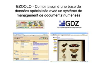 EZOOLO - Combinaison d´une base de
données spécialisée avec un système de
management de documents numérisés
 