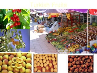 Turkish Fruits 
