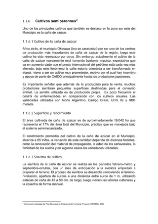 1.1.6            Cultivos semiperennes 2
Uno de los principales cultivos que también se destaca en la zona sur este del
Municipio es la caña de azúcar.

1.1.6.1 Cultivo de la caña de azúcar

Años atrás, el municipio Okinawa Uno se caracterizó por ser uno de los centros
de producción más importantes de caña de azúcar de la región, luego este
cultivo ha sido reemplazo por otros. Sin embargo actualmente el cultivo de la
caña de azúcar nuevamente está tomando bastante impulso, expectativa que
va en aumento dado que el precio internacional del petróleo está cada vez más
elevado, bajo este fenómeno la caña estaría orientada a ser transformada en
etanol, viene a ser un cultivo muy prometedor, motivo por el cual hay incentivo
y apoyo de parte de CAICO principalmente hacia los productores japoneses.

Es importante señalar que además de la producción para la venta, muchos
productores siembran pequeñas superficies destinadas para el consumo
animal. La semilla utilizada es de producción propia. Es poco frecuente el
control de enfermedades en comparación con los cultivos anuales. Las
variedades utilizadas son Norte Argentino, Campo Brasil, UCG 92 y RBB
morada.

1.1.6.2 Superficie y rendimiento

El área cultivada de caña de azúcar es de aproximadamente 19.042 ha que
representa el 17% del área total del Municipio, práctica que es manejada bajo
el sistema semimecanizado.

El rendimiento promedio del cultivo de la caña de azúcar en el Municipio,
alcanza a 65 tn/ha, la variación de esta cantidad depende de diversos factores,
como la renovación del material de propagación, la edad de los cañaverales, la
fertilidad de los suelos y en algunos casos las variedades utilizadas.

1.1.6.3 Sistema de cultivo

La siembra de la caña de azúcar se realiza en los períodos febrero-marzo y
septiembre-octubre, con un mes de anticipación a la siembra empiezan a
preparar el terreno. El proceso de siembra se desarrolla removiendo el terreno,
nivelación, apertura de surcos a una distancia entre surco de 1 m, utilizando
estacas de caña de 45 a 50 cm. de largo, luego vienen las labores culturales y
la cosecha de forma manual.




2
    Información retractada del Plan Municipal de Ordenamiento Territorial, Proyecto FORTEMU 2008.
 
