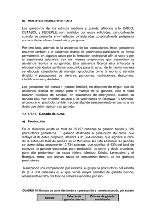 b) Asistencia técnica veterinaria

Los ganaderos de los estratos mediano y grande, afiliados a la CAICO,
CETABOL y FEDEPLE, son asistidos por estas entidades, principalmente
cuando se presenta enfermedades consideradas potencialmente peligrosas
como la fiebre aftosa, brucelosis y gangrena.

Por otro lado, además de la asistencia de las asociaciones, éstos ganaderos
recurren también a la asistencia técnica de veterinarios particulares de forma
permanente, en algunos casos por la formación profesional afín al rubro y por
la experiencia adquirida, son los mismos propietarios que desarrollan la
asistencia técnica a su ganado. Esta asistencia técnica esta enfocada a
elaborar calendarios sanitarios adecuados para la zona, de la misma manera
se elaboran calendarios de manejo reproductivo como la monta o servicio
dirigido y palpaciones de vientres, pariciones, castraciones, descornes,
identificaciones y destetes.

Los ganaderos del estrato I (estrato familiar), no disponen de ningún tipo de
asistencia técnica de campo para el manejo de su ganado, poco o nada
realizan prácticas de sanidad, en situaciones de emergencia, cuando su
ganado está muy enfermo, acuden a las veterinarias de Okinawa 1 y Montero,
al comprar el producto, también reciben algo de asesoramiento en cuanto a las
dosis que deben aplicar a su ganado.

1.1.7.1.13 Ganado de carne

a) Producción

En el Municipio existe un total de 39.797 cabezas de ganado bovino y 335
productores ganaderos. El ganado destinado a producción de carne que
incluye el de doble propósito, alcanza a 31.924 cabezas, que significa el 80%
de la población total de ganado en el Municipio. De esta población de ganado
se comercializa anualmente 13.734 cabezas, que significa el 43% del total de
cabezas de ganado destinadas para producción de carne y doble propósito,
para ello predominan las razas Nelore, Mestizo, Criollo, Lemousine y el
Brangus, estas dos últimas razas se encuentran dentro de los grandes
productores.

 Realizando una comparación por estratos, el grupo de productores del estrato
IV (> a 300 cabezas) es el que vende mayor cantidad de ganado bovino,
alcanzando al 58% del total de cabezas vendidas por año.



CUADRO 70: Ganado de carne destinado a la producción y comercialización, por estrato

                                 Cabezas de        Cabezas de ganado
                 Estrato
                               ganado p/carne         vendida/año
 