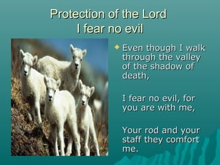 Protection of the Lord
     I fear no evil
               Even though I walk
                through the valley
                of the shadow of
                death,

                I fear no evil, for
                you are with me,

                Your rod and your
                staff they comfort
                me.
 