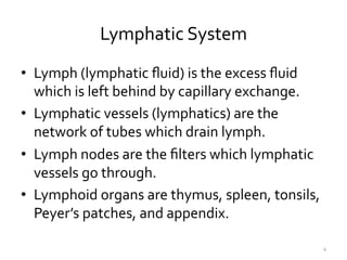 The Lymphatic System Slide 4