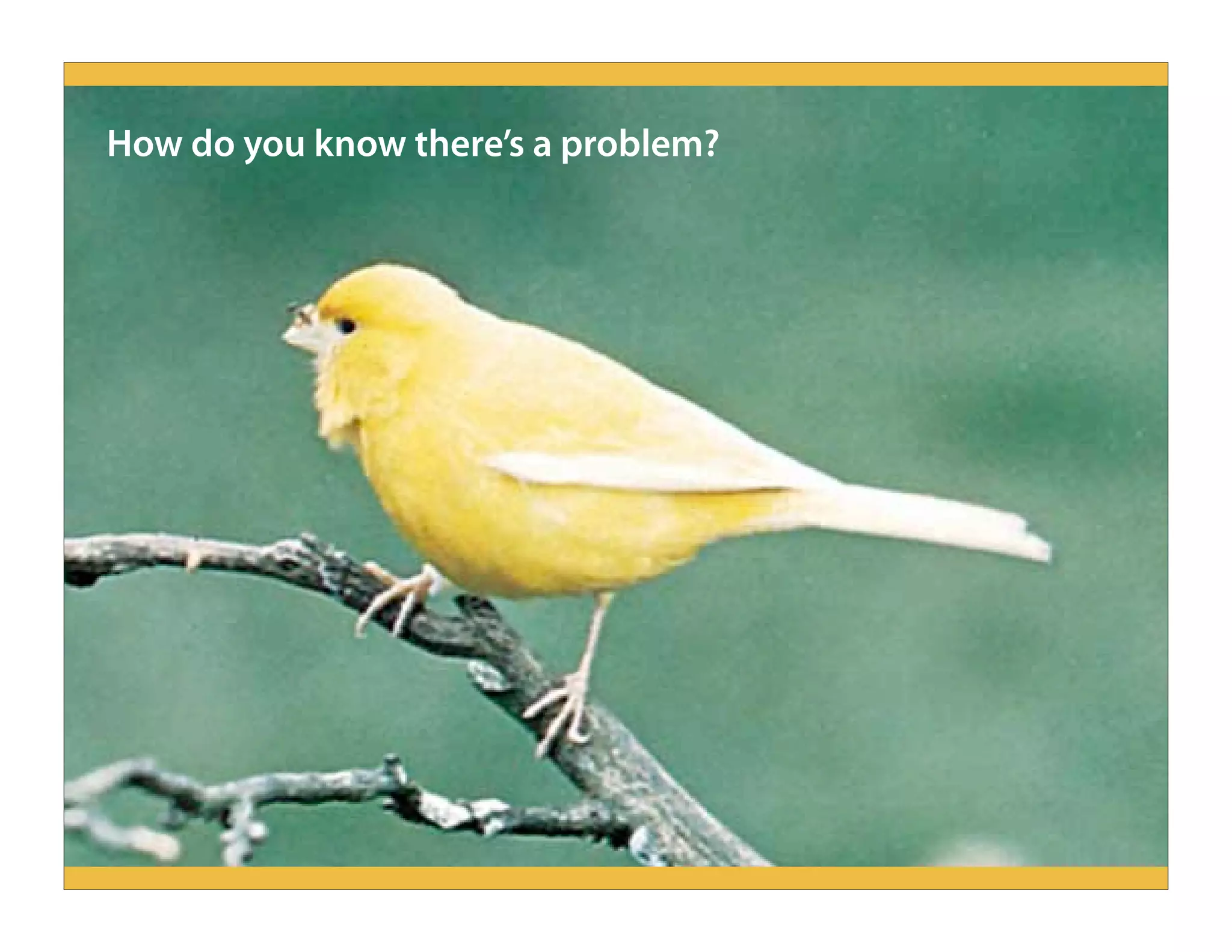 How do you know there’s a problem?
 