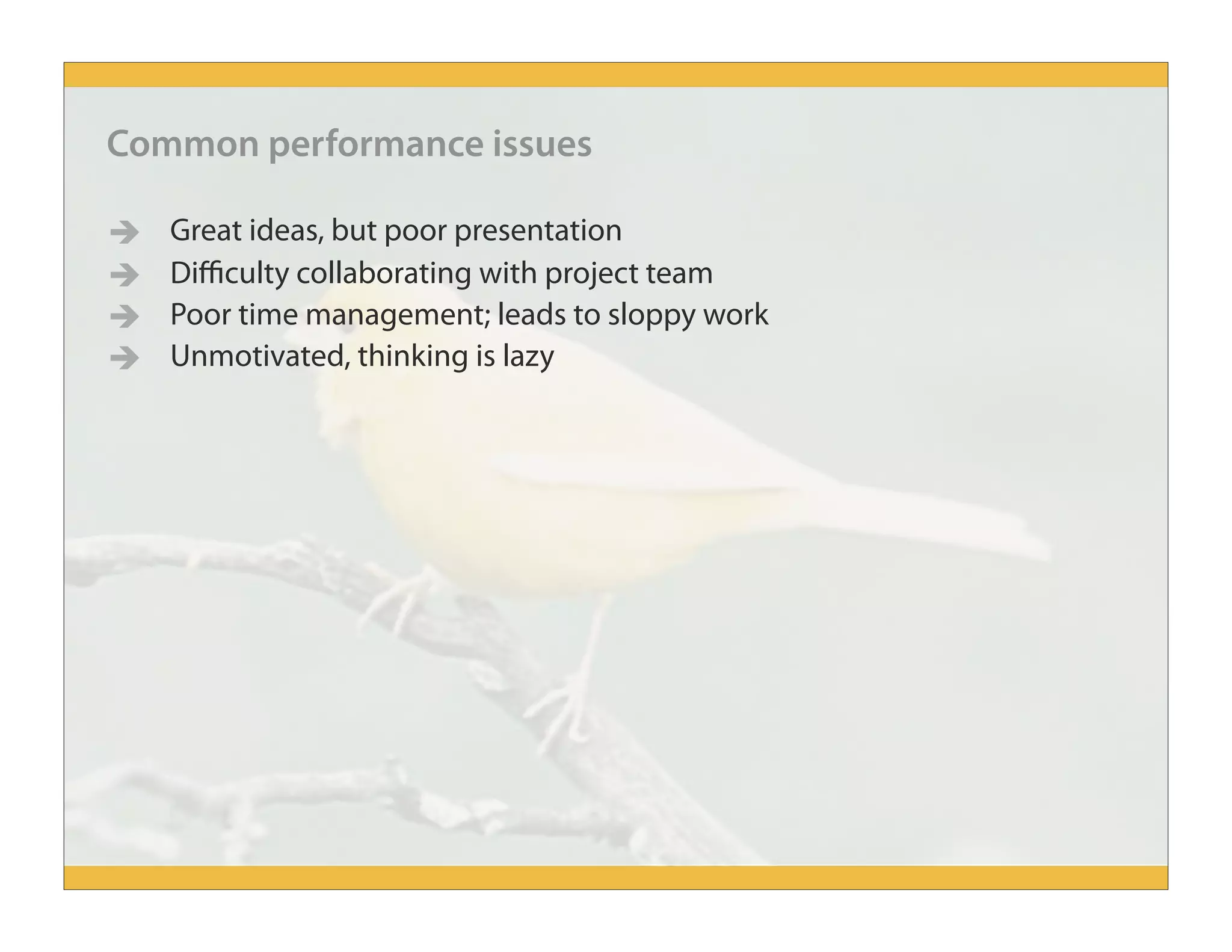 Great ideas, but poor presentation
 Difficulty collaborating with project team
 Poor time management; leads to sloppy work
 Unmotivated, thinking is lazy
Common performance issues
 