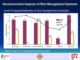 Socioeconomic Aspects of Rice Management Systems
Level of appropriateness of rice management practices
4.2
4.0
3.7
4.0
1.0...