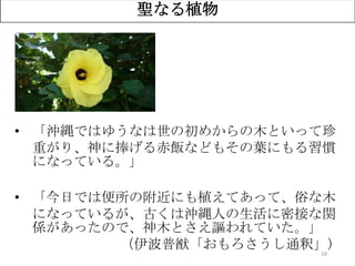 18
聖なる植物
• 「沖縄ではゆうなは世の初めからの木といって珍
重がり、神に捧げる赤飯などもその葉にもる習慣
になっている。」
• 「今日では便所の附近にも植えてあって、俗な木
になっているが、古くは沖縄人の生活に密接な関
係があったので、神木とさえ謳われていた。」
（伊波普猷「おもろさうし通釈」）
 