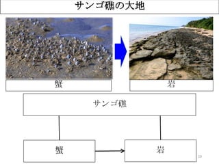 19
サンゴ礁の大地
蟹 岩
サンゴ礁
？蟹 岩
 