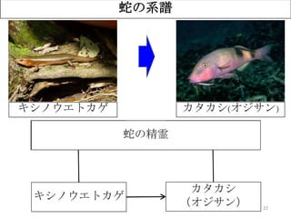 22
蛇の系譜
ユウナ
（オオハマボウ）
サンゴ礁
キシノウエトカゲ
カタカシ
（オジサン）
蛇の精霊
？キシノウエトカゲ カタカシ(オジサン)
 