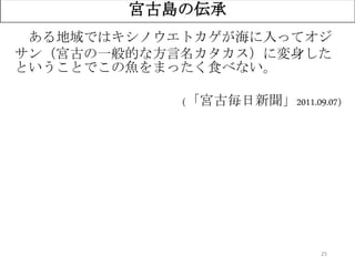 25
宮古島の伝承
ある地域ではキシノウエトカゲが海に入ってオジ
サン（宮古の一般的な方言名カタカス）に変身した
ということでこの魚をまったく食べない。
(「宮古毎日新聞」2011.09.07)
 