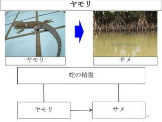 ？
26
ヤモリ
ヤモリ サメ
ユウナ
（オオハマボウ）
サンゴ礁
ヤモリ サメ
蛇の精霊
 