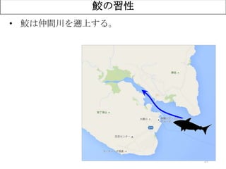 27
鮫の習性
• 鮫は仲間川を遡上する。
 