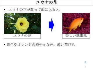 2
ユウナの花
• ユウナの花が散って海に入ると、
• 黄色やオレンジの鮮やかな色。薄い花びら
？ユウナの花 美しい熱帯魚
＞
 