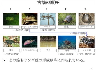 34
古謡の順序
陸亀
海亀
シレナシジミ
シャコ貝
キシノウエトカゲ
カタカシ(オジサン)
ヤモリ
サメ
小蛙
蝶？
1 2 3 4 5
• 神話の順序
• 死者の化身
• 浜辺に出現 • 家屋の成立
• 浜辺の形成 • サンゴの形成
• どの節もサンゴ礁の形成以降に作られている。
 