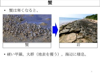5
蟹
• 蟹は寒くなると、
• 硬い甲羅。大群（地表を覆う）。海辺に棲息。
？蟹 岩
 