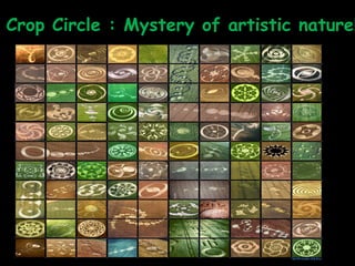 Crop Circle : Mystery of artistic nature!!! 