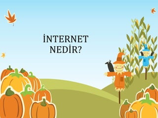 İNTERNET
NEDİR?
 