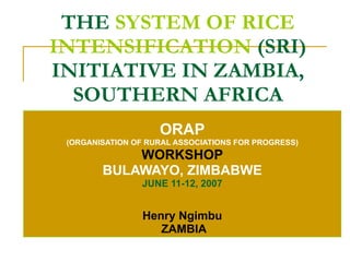 THE  SYSTEM OF RICE INTENSIFICATION  (SRI) INITIATIVE IN ZAMBIA, SOUTHERN AFRICA ORAP (ORGANISATION OF RURAL ASSOCIATIONS FOR PROGRESS) WORKSHOP BULAWAYO, ZIMBABWE JUNE 11-12, 2007 Henry Ngimbu ZAMBIA 