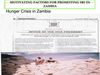 MOTIVATING FACTORS FOR PROMOTING SRI IN ZAMBIA <ul><li>Hunger Crisis in Zambia </li></ul>
