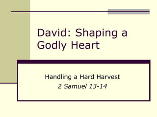 David: Shaping a Godly Heart Handling a Hard Harvest 2 Samuel 13-14 