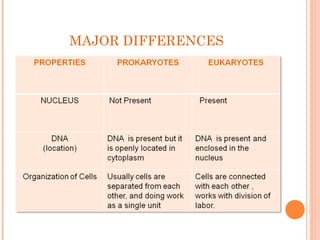 new DIFFERENCE BETWEEN PROKARYOTE AND EUKARYOTE | PPT