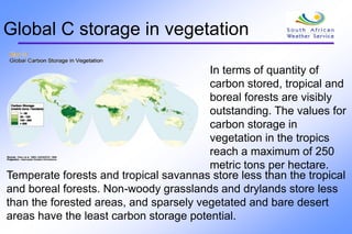 Global C storage in vegetation
In terms of quantity of
carbon stored, tropical and
boreal forests are visibly
outstanding. The values for
carbon storage in
vegetation in the tropics
reach a maximum of 250
metric tons per hectare.
Temperate forests and tropical savannas store less than the tropical
and boreal forests. Non-woody grasslands and drylands store less
than the forested areas, and sparsely vegetated and bare desert
areas have the least carbon storage potential.
 