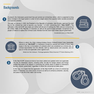 Overview On New Indonesian Panel Code | PDF