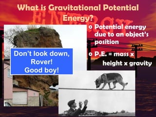 What is Gravitational Potential
Energy?

o Potential energy
due to an object’s
position

Don’t look down,
Rover!
Good boy!

o P.E. = mass x
height x gravity

 