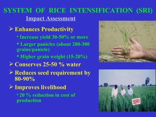 0708 Increasing Water Productivity of Rice through Adoption of System ...