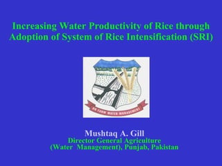 [object Object],[object Object],[object Object],Increasing Water Productivity of Rice through Adoption of System of Rice Intensification (SRI) 