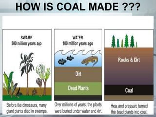 HOW IS COAL MADE ???
 