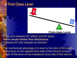 First Class Lever




Fulcrum is between EF (effort) and RF (load)
Effort moves farther than Resistance.
Multiplies EF and changes its direction

The mechanical advantage of a lever is the ratio of the length
of the lever on the applied force side of the fulcrum to the
length of the lever on the resistance force side of the fulcrum.
 