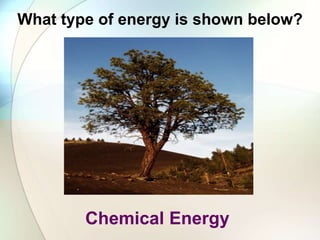 What type of energy is shown below?
Chemical Energy
 