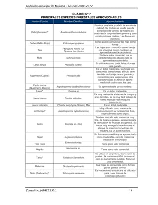 Gobierno Municipal de Mairana – Gestión 2008-2012

                                 CUADRO Nº 7
               PRINCIPALES ESPECIES FORESTALES APROVECHABLES
    Nombre Común                 Nombre Científico                      Aprovechamiento
                                                            Produce una leña y carbón de excelente
                                                               calidad. Su corteza es usada para la
                                                               extracción de taninos, la madera es
    Cebil (Curupau)*         Anadenanthera colubrina
                                                            usada en la carpintería en general y para
                                                             construcciones rústicas. Las flores son
                                                                              melíferas.
                                                             Se las puede aprovechar las hoja como
   Ceibo (Gallito Rojo)         Eritrina peoppigiana
                                                                               forraje
                                                             Las hojas son consumida como forraje
                               Pterogyne nitens Tul.
           Tipa                                                  por el animal bovino, también es
                                Tipuana tipu Kuntze
                                                                   aprovechada en la carpintería
                                                                  No tiene valor comercial, por la
          Molle                    Schinus molle                 característica de arbusto este es
                                                                      aprovechado como leña
                                                              Es utilizado como poste, leña y forraje
      Lanza lanza                Prosopis kuntzei
                                                                           para ganado
                                                              Es un árbol maderable, las hojas son
                                                              consumida como forraje, el fruto sirve
                                                               también de forraje para el ganado y
   Algarrobo (Cupesi)              Prosopis alba
                                                                comestible para las personas, otra
                                                                 características es tiene un aporte
                                                                   medicinal (colirio para los ojo)
     Cacha cacha
                          Aspidosperma quebracho blanco         Es aprovechable por su madera
  (Quebracho Blanco)
       Laurel*                      Ocotea sp.                       Es un árbol maderable
                                                            Es muy resistente al ataque de hongos y
                                                            a las termitas, es de muy fácil trabajo de
      Laurel blanco              Cordia alliodora
                                                                  forma manual y con maquina
                                                                           (carpintería)
     Laurel colorado       Phoebe porphyria (Griseb.) Mez             Es un árbol maderable
                                                                 Muy utilizado como madera de
       Jichituriqui*       Aspidosperma cylindrocarpon       construcción por su consistencia dura,
                                                                   especialmente como vigas.
                                                               Madera con alto valor comercial muy
                                                            fina, de liviana a pesada, excelente para
                                                            la fabricación de muebles en general. Su
          Cedro                  Cedrela sp. (liloi)
                                                              sabor muy amargo la hace inmune al
                                                                ataque de insectos comedores de
                                                                  madera. Es un árbol melífero.
                                                            Su fruto es comestible y es aprovechado
          Nogal                  Juglans boliviana             como maderable, pero de presencia
                                                                      escasa en el municipio
                                 Enterolobium sp.
       Toco -toco                                                  Tiene poco valor comercial
                                   Nectandra sp.
         Negrillo                                                  Tiene poco valor comercial
                                                             Se utiliza en carpintería, fabricación de
                                                             postes.; la madera es difícil de aserrar,
         Tajibo*               Tabebuia Serratifolia
                                                             pero es sumamente durable. Tiene un
                                                                         uso ornamental.
                                                              Sus hojas es consumida como forraje
        Melendre                Gochnatia palosanto
                                                                       por el ganado bovino.
                                                             Es maderable y su cáscara es utilizada
   Soto (Quebracho)*           Schinopsis hankeana                     para curar dolores de
                                                                        estomago (infusión)




Consultora JASAYE S.R.L.                                                                        19
 