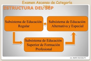 Lic. Adolfo Arancibia M.
ESTRUCTURA DEL SEP
Subsistema de Educación
Regular
Subsistema de Educación
Alternativa y Especial
Subsistema de Educación
Superior de Formación
Profesional
 