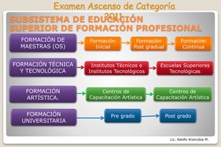 Lic. Adolfo Arancibia M.
FORMACIÓN
UNIVERSITARIA
FORMACIÓN
ARTÍSTICA.
FORMACIÓN DE
MAESTRAS (OS)
FORMACIÓN TÉCNICA
Y TECNOLÓGICA
SUBSISTEMA DE EDUCACIÓN
SUPERIOR DE FORMACIÓN PROFESIONAL
Formación
Inicial
Formación
Continua
Formación
Post gradual
Escuelas Superiores
Tecnológicas
Institutos Técnicos e
Institutos Tecnológicos
Centros de
Capacitación Artística
Centros de
Capacitación Artística
Pre grado Post grado
 