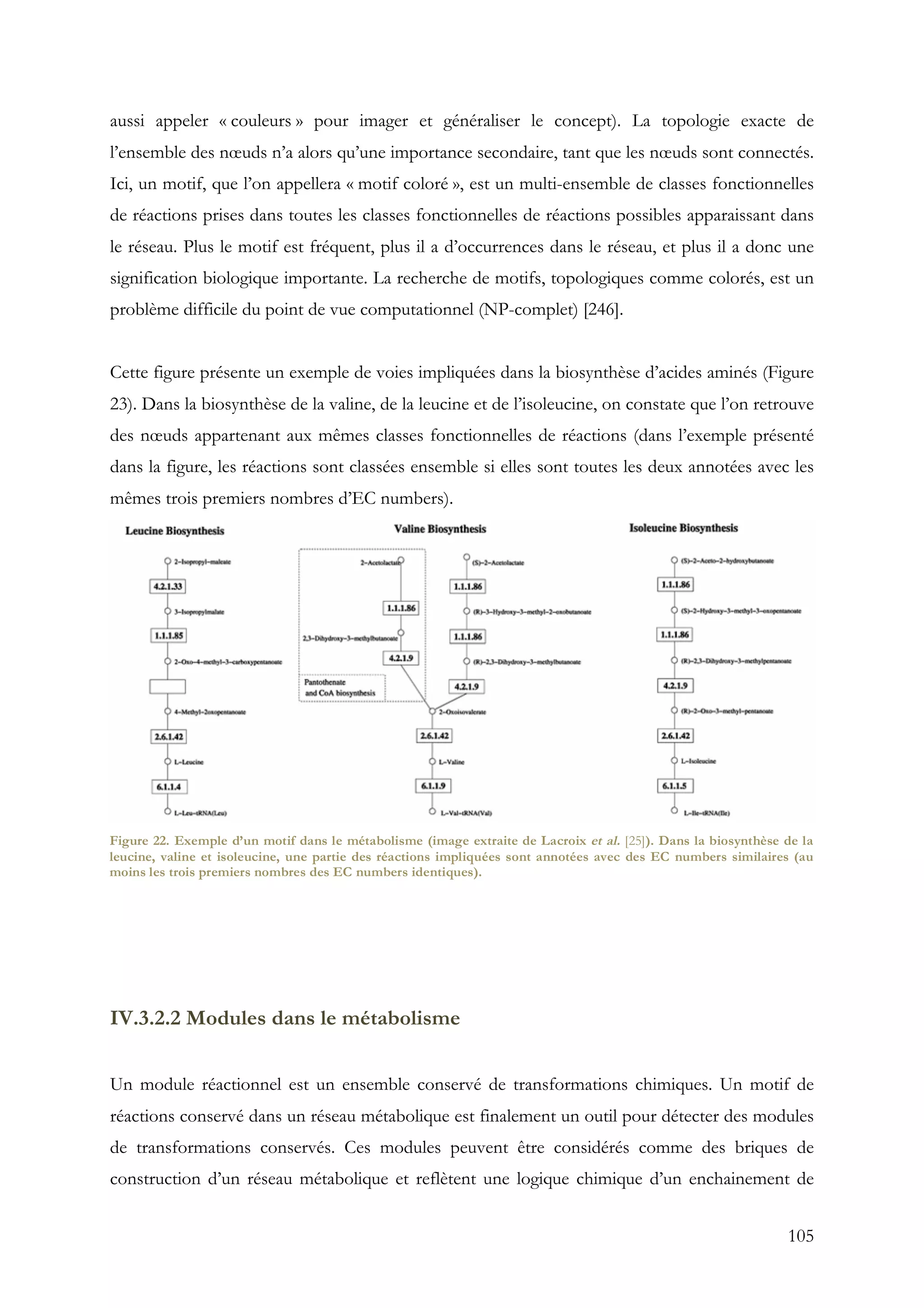 105
aussi appeler « couleurs » pour imager et généraliser le concept). La topologie exacte de
l’ensemble des nœuds n’a alors qu’une importance secondaire, tant que les nœuds sont connectés.
Ici, un motif, que l’on appellera « motif coloré », est un multi-ensemble de classes fonctionnelles
de réactions prises dans toutes les classes fonctionnelles de réactions possibles apparaissant dans
le réseau. Plus le motif est fréquent, plus il a d’occurrences dans le réseau, et plus il a donc une
signification biologique importante. La recherche de motifs, topologiques comme colorés, est un
problème difficile du point de vue computationnel (NP-complet) [246].
Cette figure présente un exemple de voies impliquées dans la biosynthèse d’acides aminés (Figure
23). Dans la biosynthèse de la valine, de la leucine et de l’isoleucine, on constate que l’on retrouve
des nœuds appartenant aux mêmes classes fonctionnelles de réactions (dans l’exemple présenté
dans la figure, les réactions sont classées ensemble si elles sont toutes les deux annotées avec les
mêmes trois premiers nombres d’EC numbers).
IV.3.2.2 Modules dans le métabolisme
Un module réactionnel est un ensemble conservé de transformations chimiques. Un motif de
réactions conservé dans un réseau métabolique est finalement un outil pour détecter des modules
de transformations conservés. Ces modules peuvent être considérés comme des briques de
construction d’un réseau métabolique et reflètent une logique chimique d’un enchainement de
Figure 22. Exemple d’un motif dans le métabolisme (image extraite de Lacroix et al. [25]). Dans la biosynthèse de la
leucine, valine et isoleucine, une partie des réactions impliquées sont annotées avec des EC numbers similaires (au
moins les trois premiers nombres des EC numbers identiques).
 