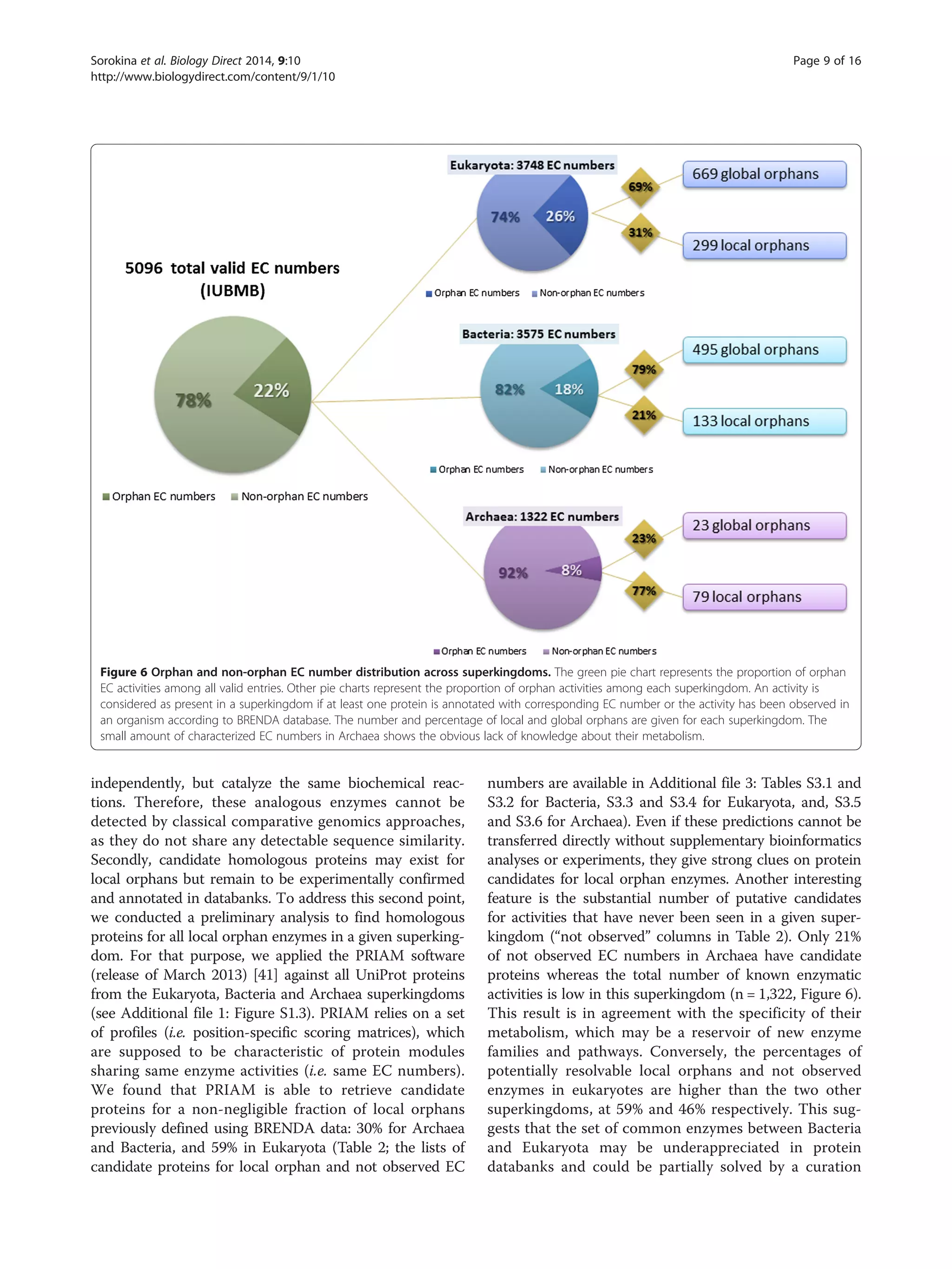 independently, but catalyze the same biochemical reac-
tions. Therefore, these analogous enzymes cannot be
detected by classical comparative genomics approaches,
as they do not share any detectable sequence similarity.
Secondly, candidate homologous proteins may exist for
local orphans but remain to be experimentally confirmed
and annotated in databanks. To address this second point,
we conducted a preliminary analysis to find homologous
proteins for all local orphan enzymes in a given superking-
dom. For that purpose, we applied the PRIAM software
(release of March 2013) [41] against all UniProt proteins
from the Eukaryota, Bacteria and Archaea superkingdoms
(see Additional file 1: Figure S1.3). PRIAM relies on a set
of profiles (i.e. position-specific scoring matrices), which
are supposed to be characteristic of protein modules
sharing same enzyme activities (i.e. same EC numbers).
We found that PRIAM is able to retrieve candidate
proteins for a non-negligible fraction of local orphans
previously defined using BRENDA data: 30% for Archaea
and Bacteria, and 59% in Eukaryota (Table 2; the lists of
candidate proteins for local orphan and not observed EC
numbers are available in Additional file 3: Tables S3.1 and
S3.2 for Bacteria, S3.3 and S3.4 for Eukaryota, and, S3.5
and S3.6 for Archaea). Even if these predictions cannot be
transferred directly without supplementary bioinformatics
analyses or experiments, they give strong clues on protein
candidates for local orphan enzymes. Another interesting
feature is the substantial number of putative candidates
for activities that have never been seen in a given super-
kingdom (“not observed” columns in Table 2). Only 21%
of not observed EC numbers in Archaea have candidate
proteins whereas the total number of known enzymatic
activities is low in this superkingdom (n = 1,322, Figure 6).
This result is in agreement with the specificity of their
metabolism, which may be a reservoir of new enzyme
families and pathways. Conversely, the percentages of
potentially resolvable local orphans and not observed
enzymes in eukaryotes are higher than the two other
superkingdoms, at 59% and 46% respectively. This sug-
gests that the set of common enzymes between Bacteria
and Eukaryota may be underappreciated in protein
databanks and could be partially solved by a curation
Figure 6 Orphan and non-orphan EC number distribution across superkingdoms. The green pie chart represents the proportion of orphan
EC activities among all valid entries. Other pie charts represent the proportion of orphan activities among each superkingdom. An activity is
considered as present in a superkingdom if at least one protein is annotated with corresponding EC number or the activity has been observed in
an organism according to BRENDA database. The number and percentage of local and global orphans are given for each superkingdom. The
small amount of characterized EC numbers in Archaea shows the obvious lack of knowledge about their metabolism.
Sorokina et al. Biology Direct 2014, 9:10 Page 9 of 16
http://www.biologydirect.com/content/9/1/10
 