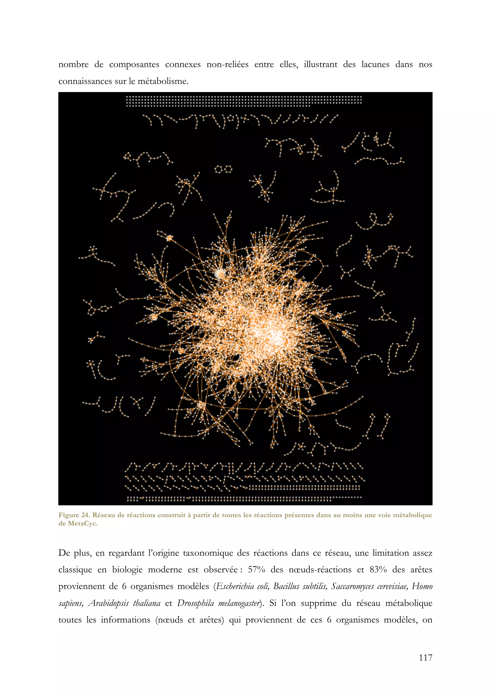117
nombre de composantes connexes non-reliées entre elles, illustrant des lacunes dans nos
connaissances sur le métabolisme.
Figure 24. Réseau de réactions construit à partir de toutes les réactions présentes dans au moins une voie métabolique
de MetaCyc.
De plus, en regardant l’origine taxonomique des réactions dans ce réseau, une limitation assez
classique en biologie moderne est observée : 57% des nœuds-réactions et 83% des arêtes
proviennent de 6 organismes modèles (Escherichia coli, Bacillus subtilis, Saccaromyces cerevisiae, Homo
sapiens, Arabidopsis thaliana et Drosophila melanogaster). Si l’on supprime du réseau métabolique
toutes les informations (nœuds et arêtes) qui proviennent de ces 6 organismes modèles, on
 