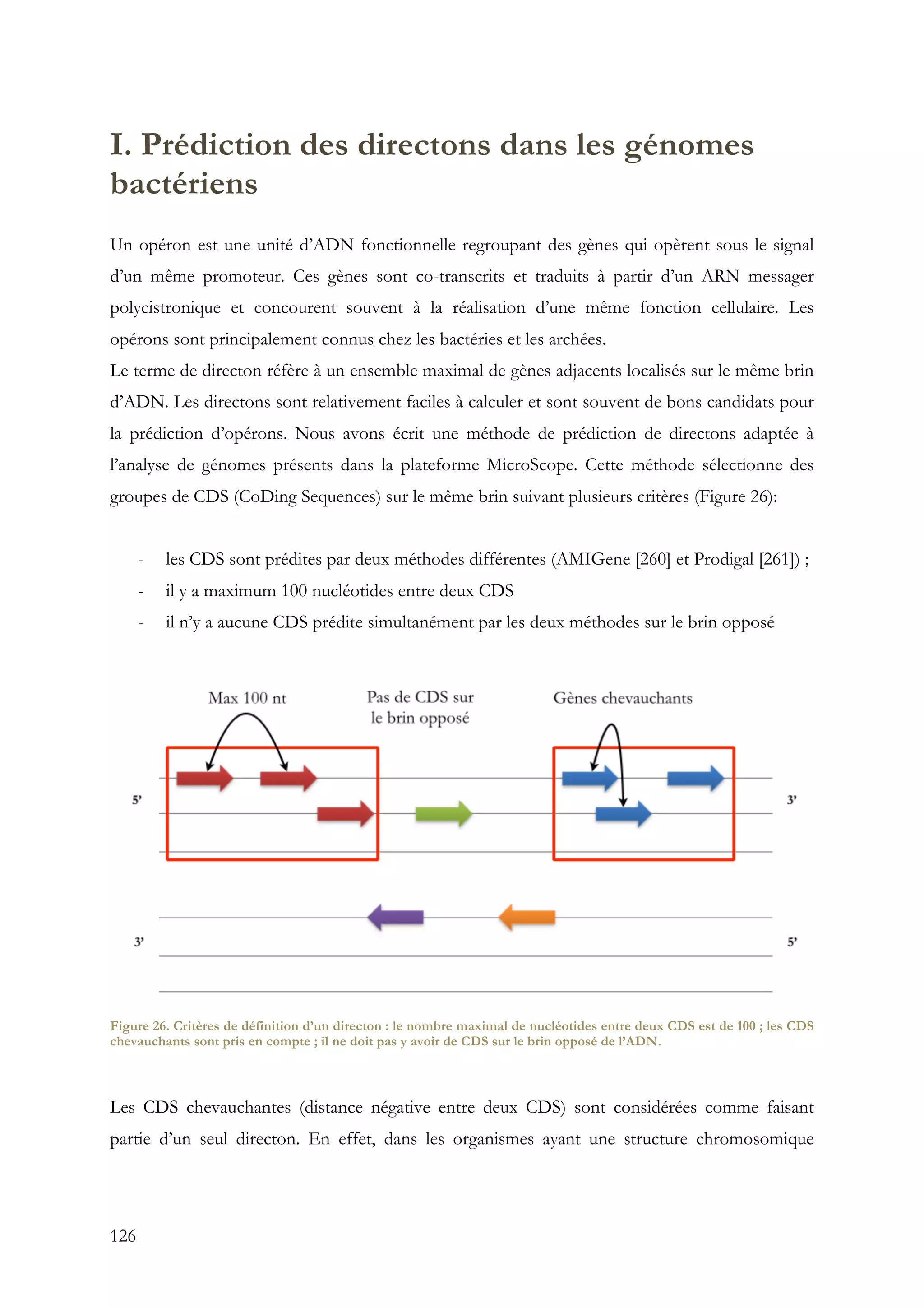 126
I. Prédiction des directons dans les génomes
bactériens
Un opéron est une unité d’ADN fonctionnelle regroupant des gènes qui opèrent sous le signal
d’un même promoteur. Ces gènes sont co-transcrits et traduits à partir d’un ARN messager
polycistronique et concourent souvent à la réalisation d’une même fonction cellulaire. Les
opérons sont principalement connus chez les bactéries et les archées.
Le terme de directon réfère à un ensemble maximal de gènes adjacents localisés sur le même brin
d’ADN. Les directons sont relativement faciles à calculer et sont souvent de bons candidats pour
la prédiction d’opérons. Nous avons écrit une méthode de prédiction de directons adaptée à
l’analyse de génomes présents dans la plateforme MicroScope. Cette méthode sélectionne des
groupes de CDS (CoDing Sequences) sur le même brin suivant plusieurs critères (Figure 26):
- les CDS sont prédites par deux méthodes différentes (AMIGene [260] et Prodigal [261]) ;
- il y a maximum 100 nucléotides entre deux CDS
- il n’y a aucune CDS prédite simultanément par les deux méthodes sur le brin opposé
Figure 26. Critères de définition d’un directon : le nombre maximal de nucléotides entre deux CDS est de 100 ; les CDS
chevauchants sont pris en compte ; il ne doit pas y avoir de CDS sur le brin opposé de l’ADN.
Les CDS chevauchantes (distance négative entre deux CDS) sont considérées comme faisant
partie d’un seul directon. En effet, dans les organismes ayant une structure chromosomique
 