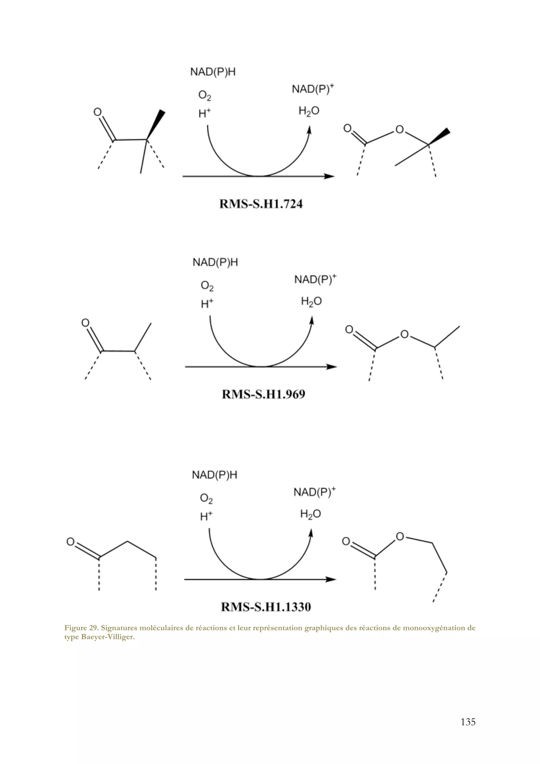 135
Figure 29. Signatures moléculaires de réactions et leur représentation graphiques des réactions de monooxygénation de
type Baeyer-Villiger.
 
