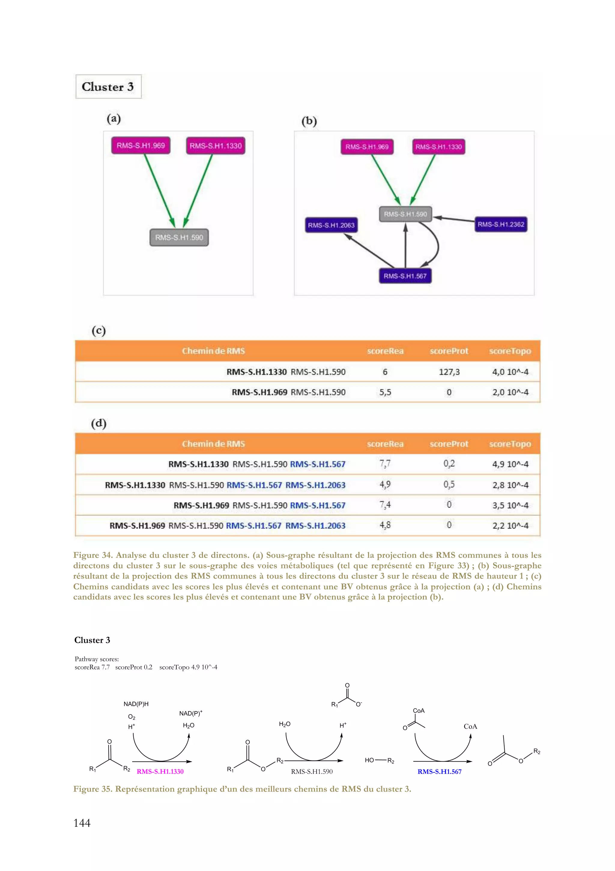 144
Figure 34. Analyse du cluster 3 de directons. (a) Sous-graphe résultant de la projection des RMS communes à tous les
directons du cluster 3 sur le sous-graphe des voies métaboliques (tel que représenté en Figure 33) ; (b) Sous-graphe
résultant de la projection des RMS communes à tous les directons du cluster 3 sur le réseau de RMS de hauteur 1 ; (c)
Chemins candidats avec les scores les plus élevés et contenant une BV obtenus grâce à la projection (a) ; (d) Chemins
candidats avec les scores les plus élevés et contenant une BV obtenus grâce à la projection (b).
Figure 35. Représentation graphique d’un des meilleurs chemins de RMS du cluster 3.
 